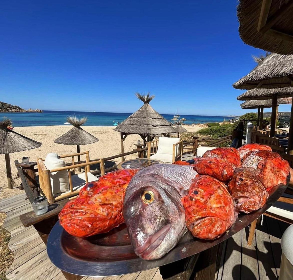 Hotel Lilium Maris Tizzano Bagian luar foto
