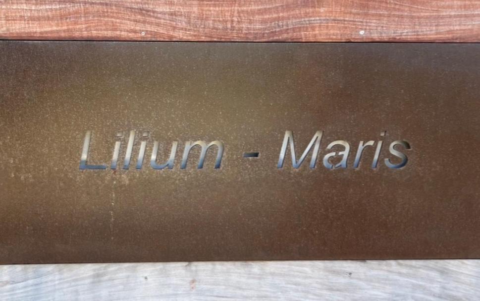 Hotel Lilium Maris Tizzano Bagian luar foto